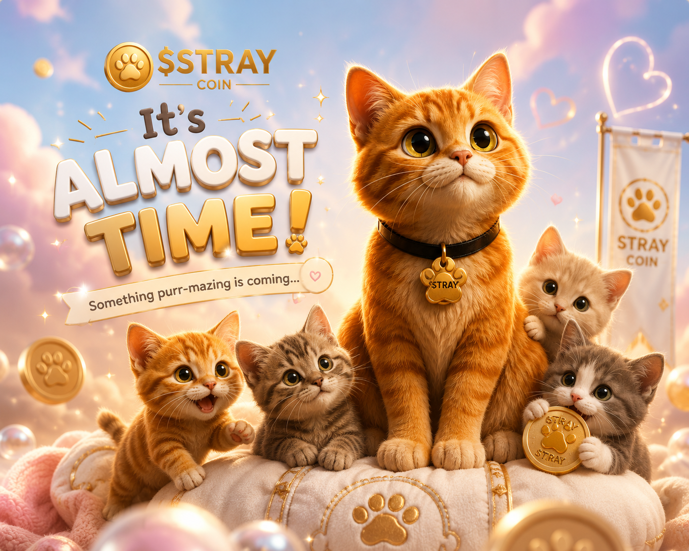STRAY official mascot — orange tabby cat with $STRAY collar tag